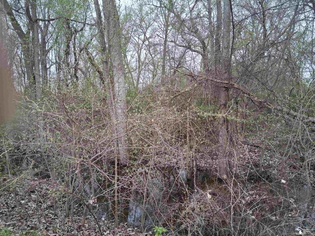 4601 Sycamore Road, Newport, MI 48161