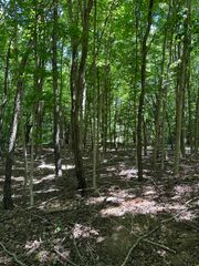 Lot 2 Christopher Lane, South Haven, MI 49090