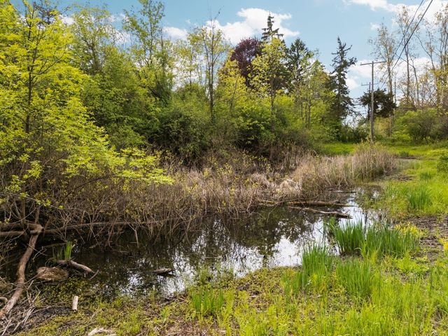 2203 Hickman Road, Superior Twp, MI 48198