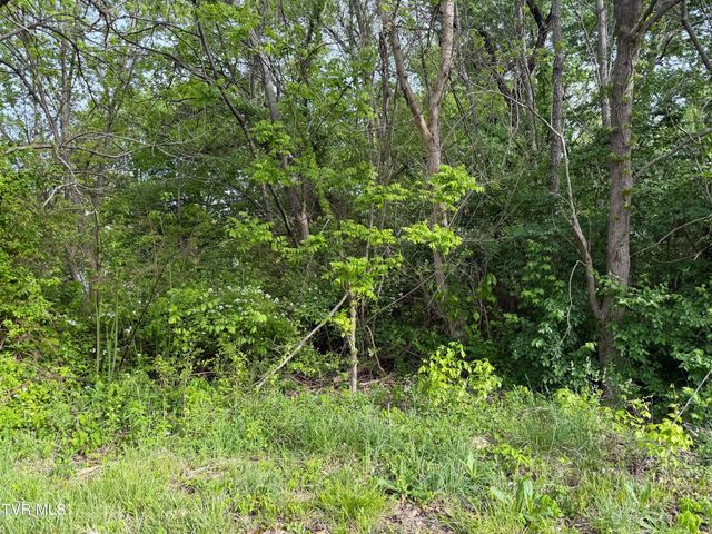 Tbd Reedy Creek Road, Kingsport, TN 37664