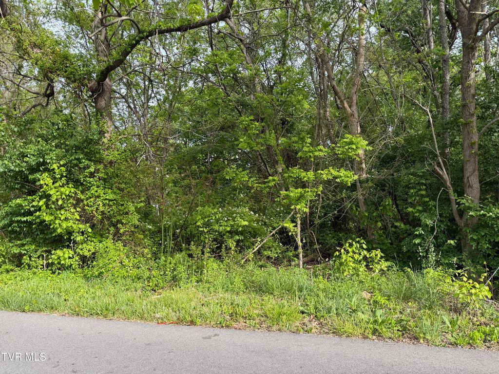 Tbd Reedy Creek Road, Kingsport, TN 37664