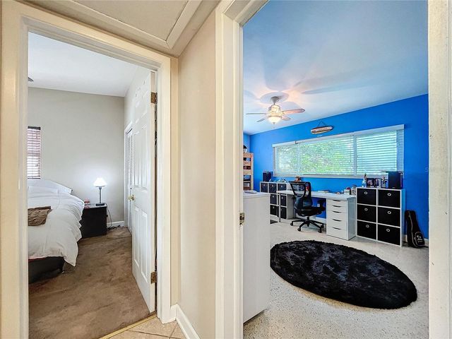 311 MORNINGSIDE DRIVE, Palm Harbor, FL 34683