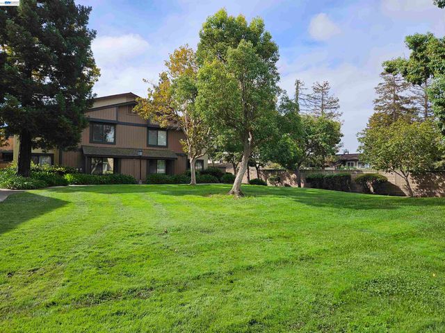 247 E Warren Cmn, Fremont, CA 94539