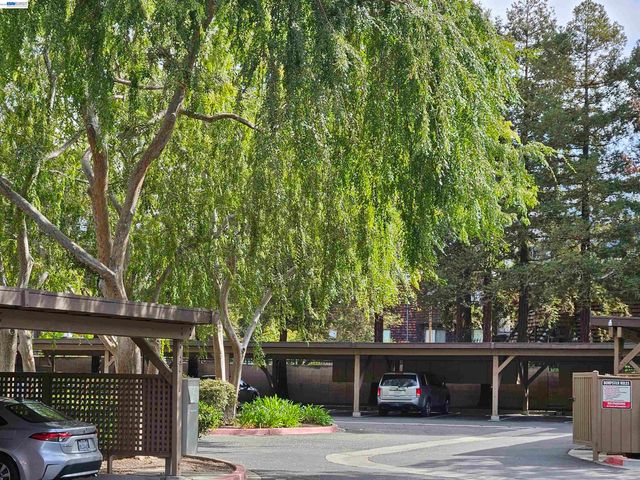 247 E Warren Cmn, Fremont, CA 94539