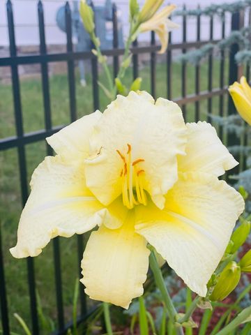 9731 Haven Port Lane, Ooltewah, TN 37363