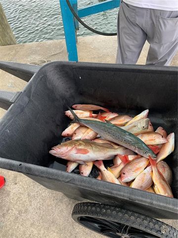 430 NW 39TH AVENUE, Cape Coral, FL 33993