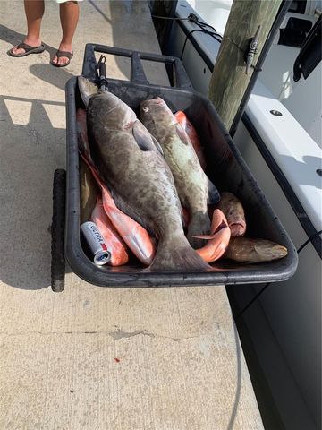 430 NW 39TH AVENUE, Cape Coral, FL 33993