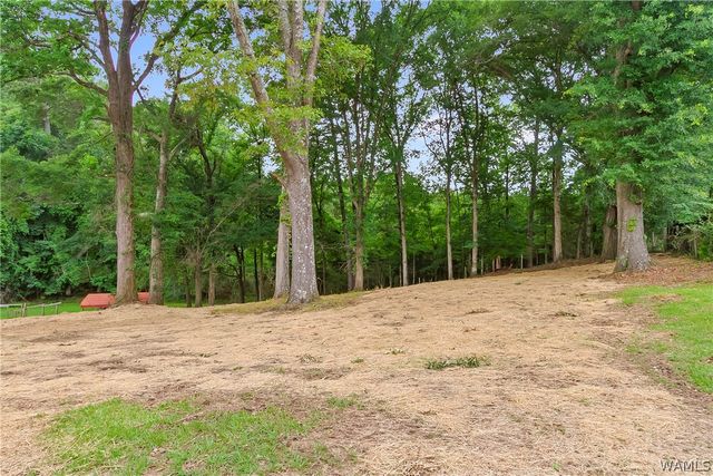 11297 Ash, Northport, AL 35475