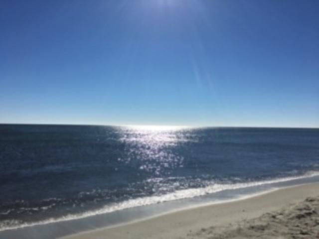 1537 Gulfstream Ct., Surfside Beach, SC 29575