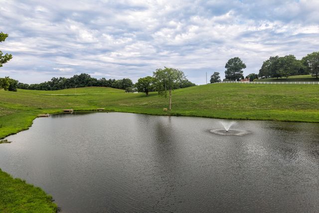 0 Skyridge Lane, Shelbyville, TN 37160