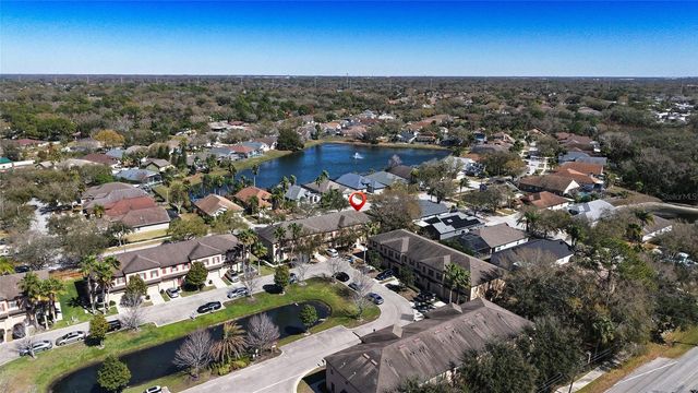 10235 VILLA PALAZZO COURT, Tampa, FL 33615