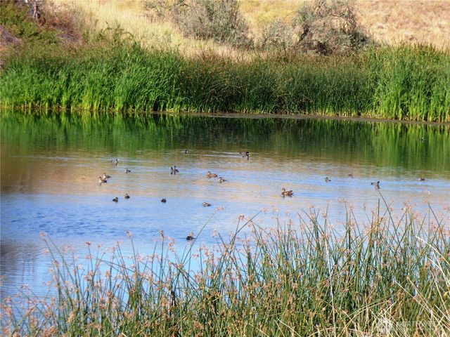 61 Dyer Hill Rd, Mansfield, WA 98830