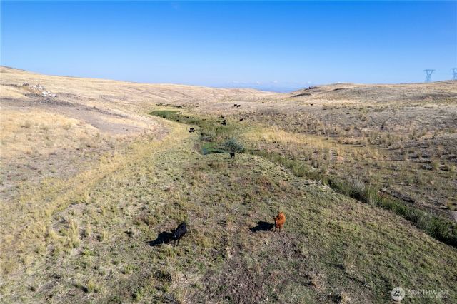 61 Dyer Hill Rd, Mansfield, WA 98830