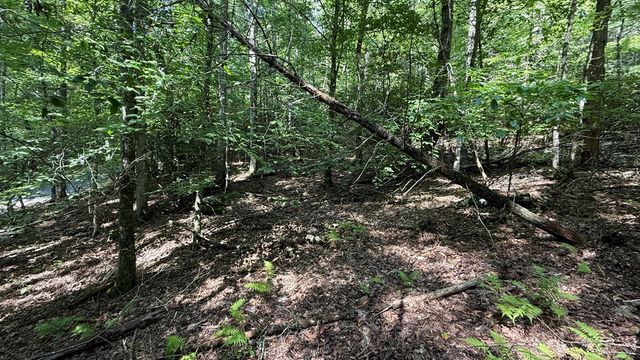 Lot 45 Granite Drive, Hayesville, NC 28904