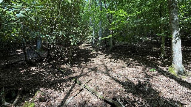 Lot 45 Granite Drive, Hayesville, NC 28904