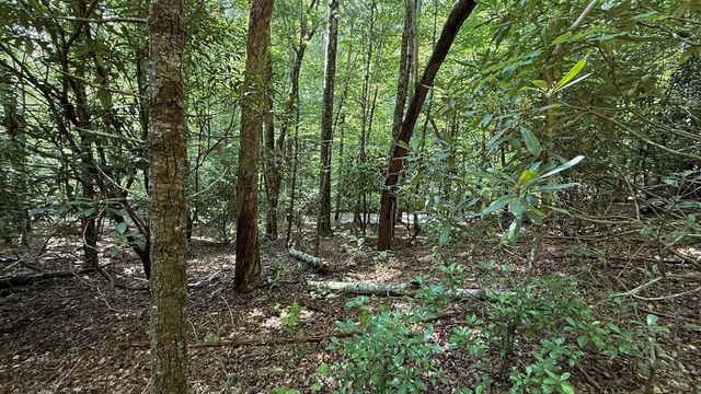 Lot 45 Granite Drive, Hayesville, NC 28904