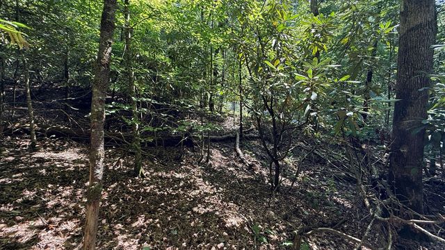 Lot 45 Granite Drive, Hayesville, NC 28904