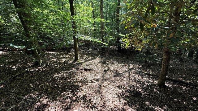 Lot 45 Granite Drive, Hayesville, NC 28904