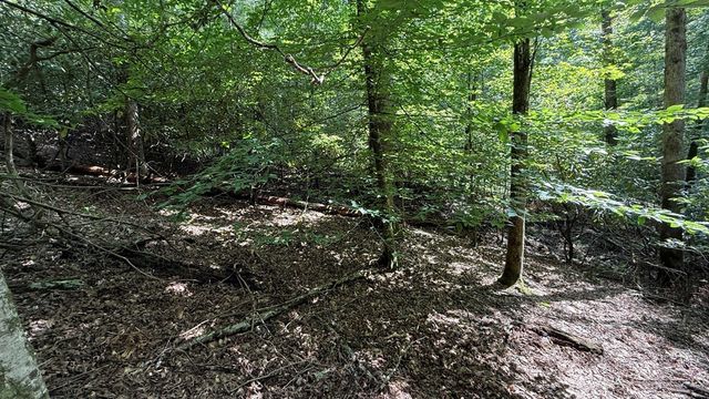 Lot 45 Granite Drive, Hayesville, NC 28904