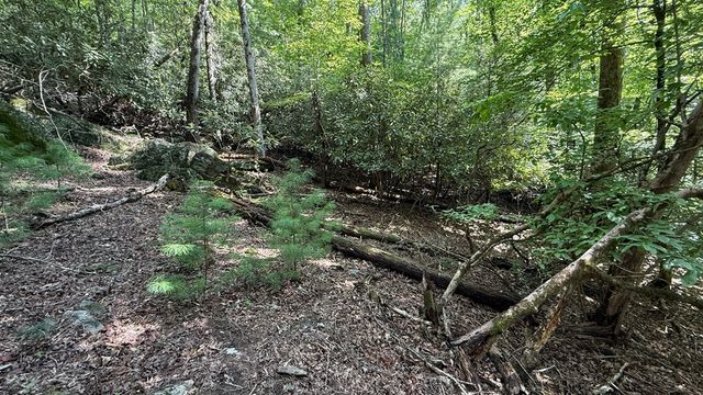 Lot 45 Granite Drive, Hayesville, NC 28904