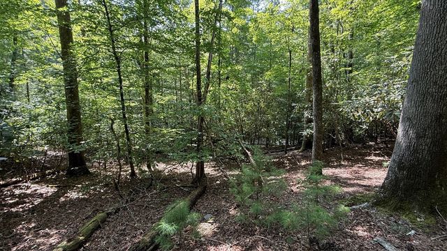Lot 45 Granite Drive, Hayesville, NC 28904