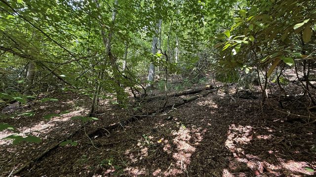 Lot 45 Granite Drive, Hayesville, NC 28904