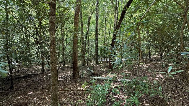 Lot 45 Granite Drive, Hayesville, NC 28904