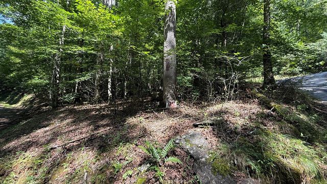 Lot 45 Granite Drive, Hayesville, NC 28904