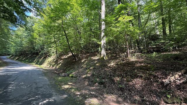 Lot 45 Granite Drive, Hayesville, NC 28904