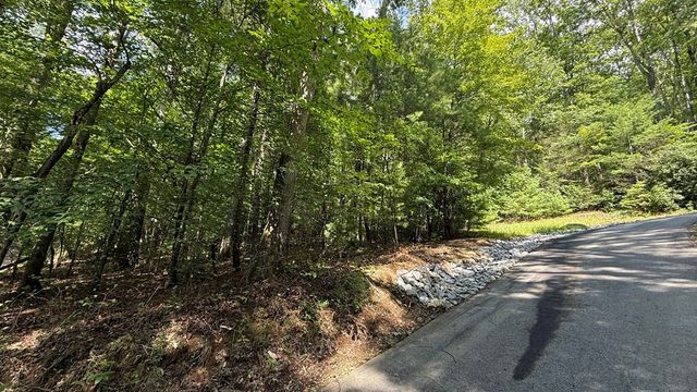Lot 45 Granite Drive, Hayesville, NC 28904