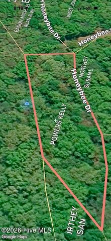 Tbd Lot 43 Pine Cove Lane, Murphy, NC 28906
