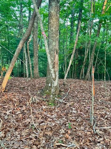 Tbd Lot 43 Pine Cove Lane, Murphy, NC 28906