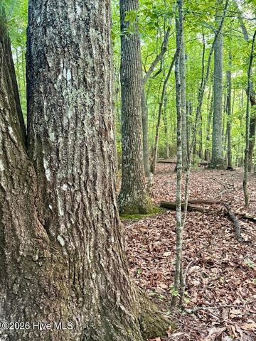 Tbd Lot 43 Pine Cove Lane, Murphy, NC 28906