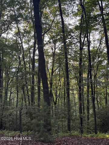 Tbd Lot 43 Pine Cove Lane, Murphy, NC 28906