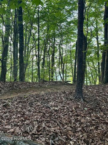 Tbd Lot 43 Pine Cove Lane, Murphy, NC 28906