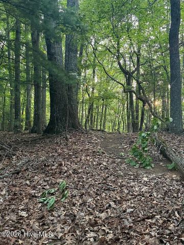 Tbd Lot 43 Pine Cove Lane, Murphy, NC 28906