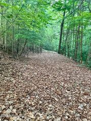 Tbd Lot 43 Pine Cove Lane, Murphy, NC 28906