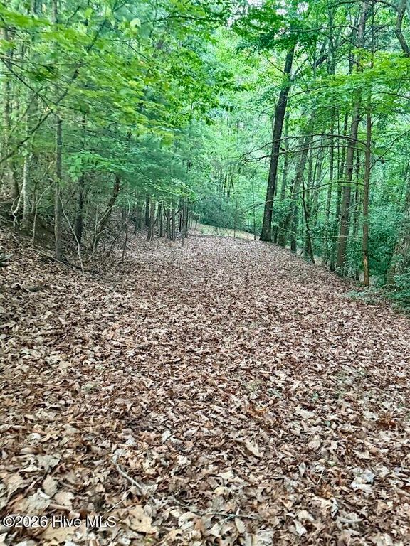 Tbd Lot 43 Pine Cove Lane, Murphy, NC 28906
