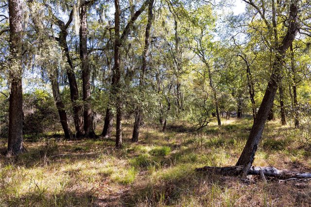 202 County Road 142b, Sublime, TX 77986