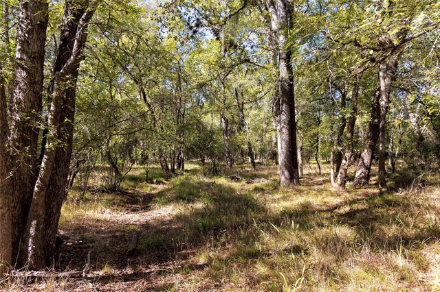 202 County Road 142b, Sublime, TX 77986