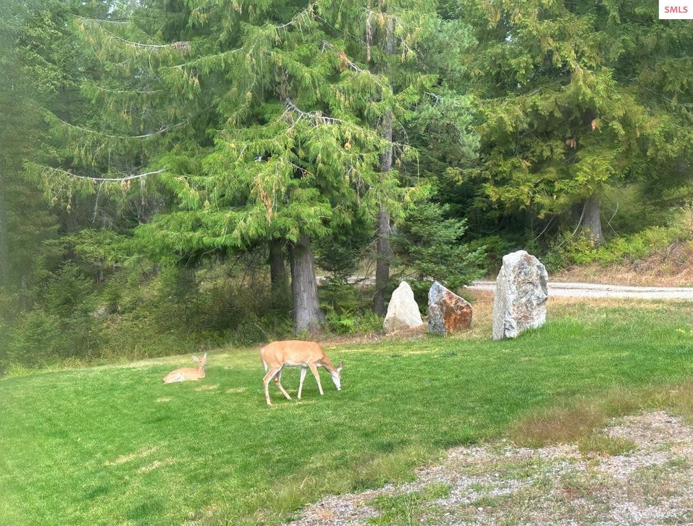 422 Lightning Peak Rd, Sandpoint, ID 83864 photo 77