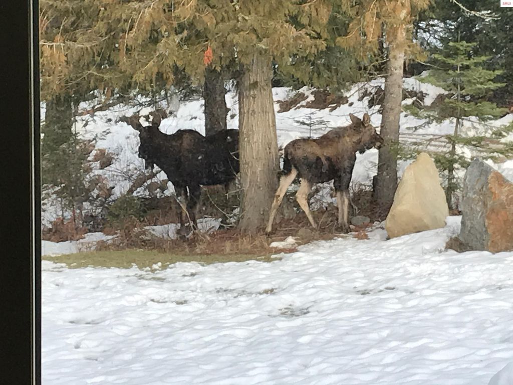 422 Lightning Peak Rd, Sandpoint, ID 83864 photo 80