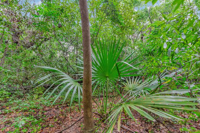 1652 Pierpont Avenue, Charleston, SC 29414