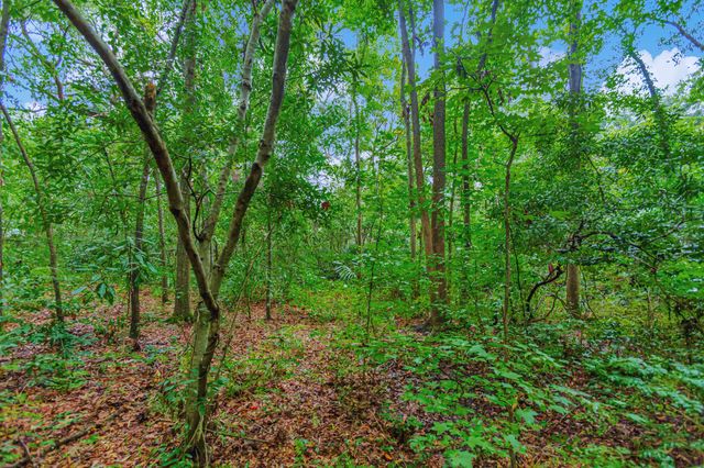 1652 Pierpont Avenue, Charleston, SC 29414