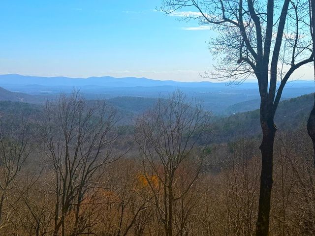 1186 Walnut Ridge, Ellijay, GA 30536