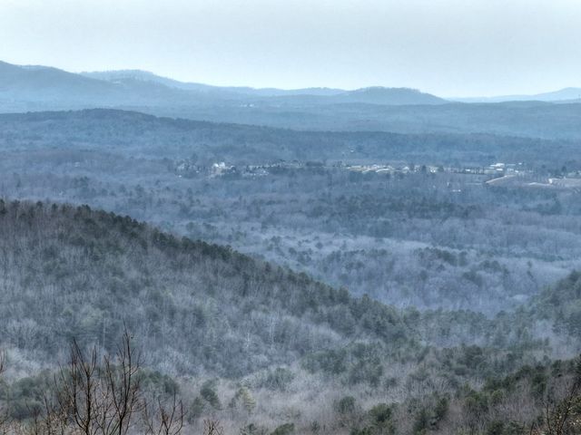 1186 Walnut Ridge, Ellijay, GA 30536