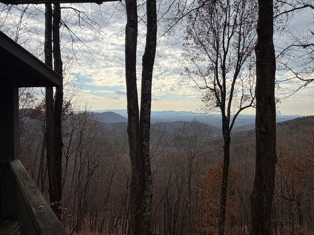 1186 Walnut Ridge, Ellijay, GA 30536