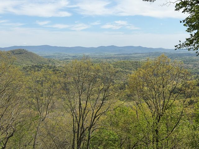 1186 Walnut Ridge, Ellijay, GA 30536