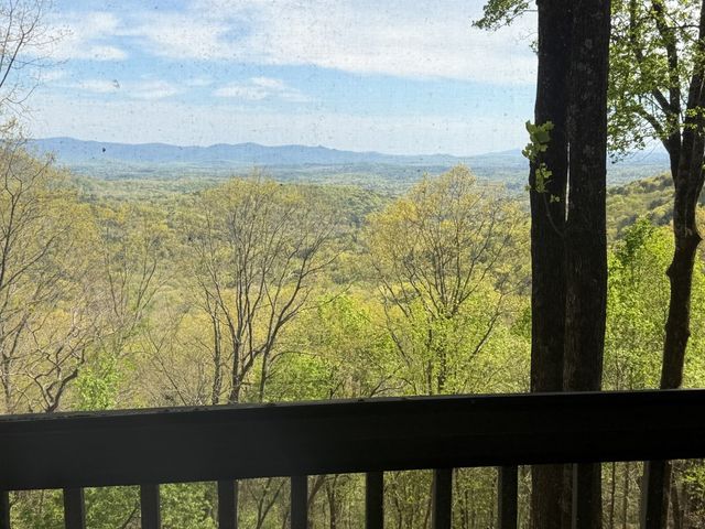1186 Walnut Ridge, Ellijay, GA 30536