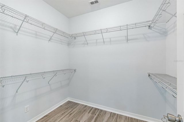 11852 GAVIN LANE, Odessa, FL 33556
